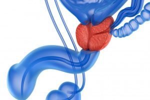 Prostate toys for better health