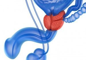 Prostate toys for better health