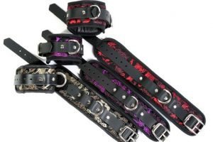 Dragon Silk Restraints