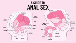 First Time Anal Sex Tips