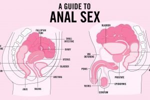 Anal Sex Guide