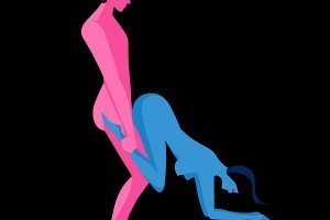 The Wheelbarrow