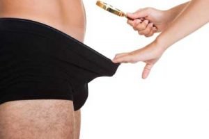Research on penis size